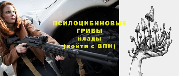 гашик Алексеевка