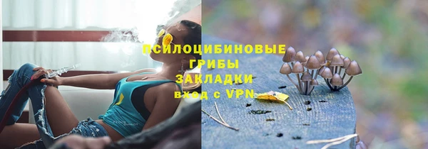 jwh Аркадак