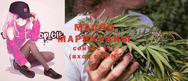 гашик Алексеевка