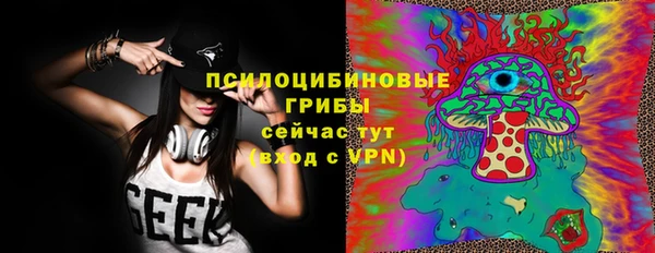 гидра Армянск