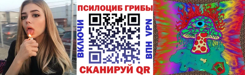 Псилоцибиновые грибы Psilocybe  Очёр 